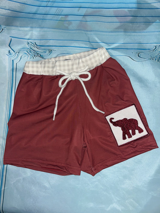 Bama Boys Swim